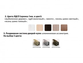 Шкаф-купе Акцент-Сим Д 1200-600 шимо светлый в Пласте - plast.magazinmebel.ru | фото - изображение 3