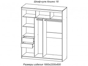 Шкаф-купе Альянс 18 комплект зеркал №4 в Пласте - plast.magazinmebel.ru | фото - изображение 2