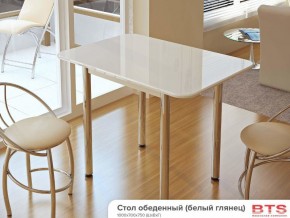 Стол обеденный белый глянец в Пласте - plast.magazinmebel.ru | фото